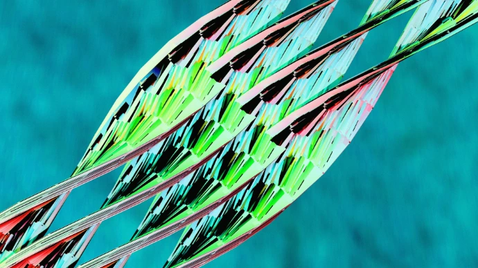 Abstract pattern of green and pink leaves on blue